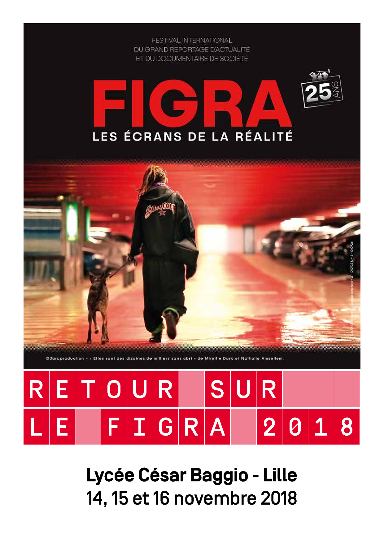affiche Retour Figra2018 Baggio