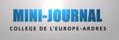 mini journal ardres