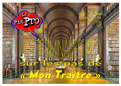 ptitpro irlande